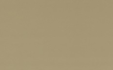 SE39-dark-beige.jpg